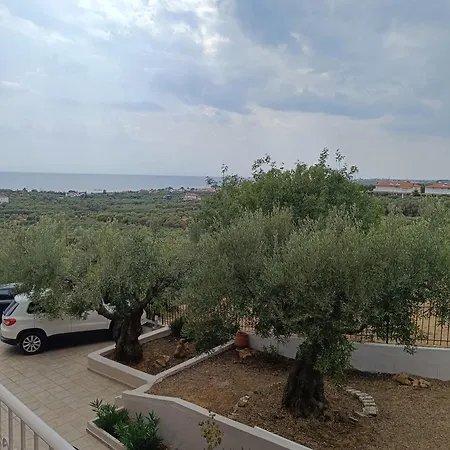 Olive & Garden Holiday home *